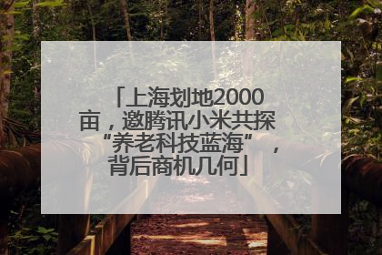上海划地2000亩，邀腾讯小米共探“养老科技蓝海”，背后商机几何