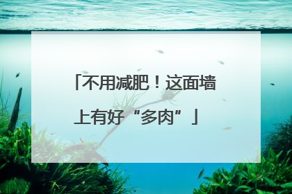 不用减肥！这面墙上有好“多肉”