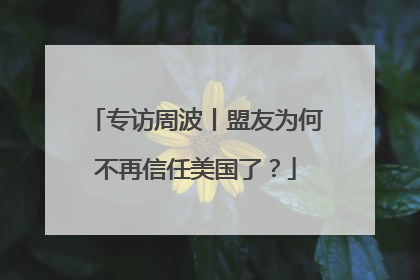 专访周波丨盟友为何不再信任美国了？