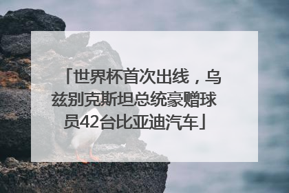 世界杯首次出线，乌兹别克斯坦总统豪赠球员42台比亚迪汽车