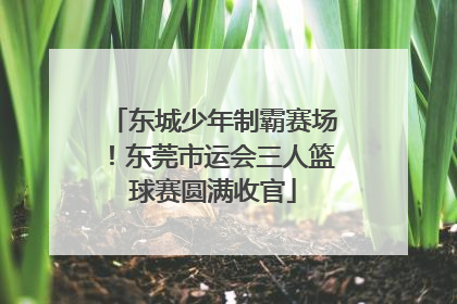东城少年制霸赛场！东莞市运会三人篮球赛圆满收官