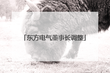 东方电气董事长调整