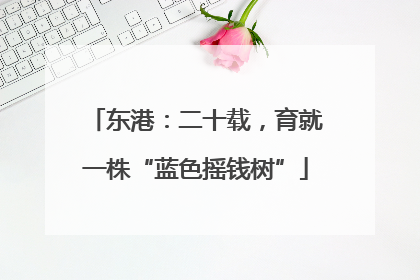 东港：二十载，育就一株“蓝色摇钱树”