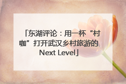 东湖评论：用一杯“村咖”打开武汉乡村旅游的Next Level
