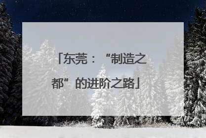 东莞：“制造之都”的进阶之路