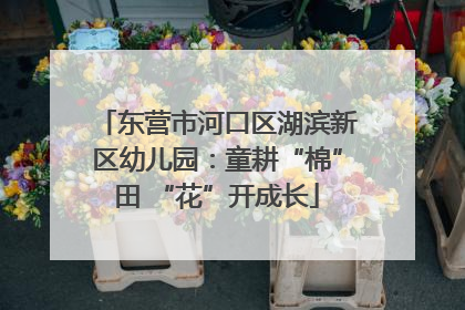 东营市河口区湖滨新区幼儿园：童耕“棉”田 “花”开成长