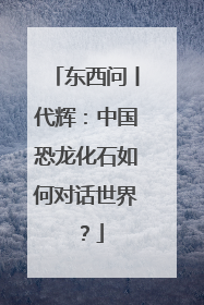 东西问丨代辉：中国恐龙化石如何对话世界？