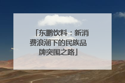 东鹏饮料：新消费浪潮下的民族品牌突围之路