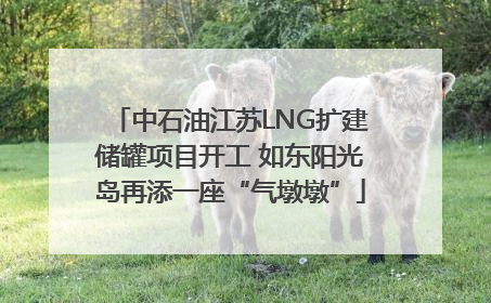 中石油江苏LNG扩建储罐项目开工 如东阳光岛再添一座“气墩墩”