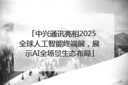 中兴通讯亮相2025全球人工智能终端展，展示AI全场景生态布局