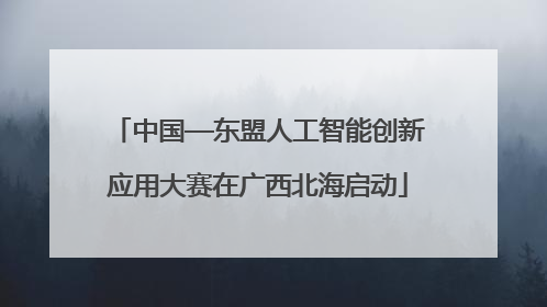 中国—东盟人工智能创新应用大赛在广西北海启动