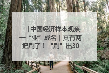 中国经济样本观察·一“业”成名｜真有两把刷子！“刷”出30亿级“颜值经济”