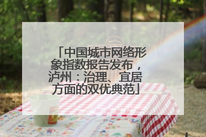 中国城市网络形象指数报告发布，泸州：治理、宜居方面的双优典范
