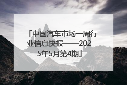 中国汽车市场一周行业信息快报——2025年5月第4期