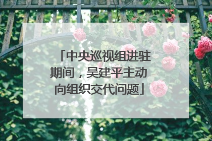 中央巡视组进驻期间，吴建平主动向组织交代问题