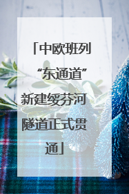 中欧班列“东通道”新建绥芬河隧道正式贯通
