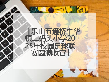 乐山五通桥牛华镇二码头小学2025年校园足球联赛圆满收官