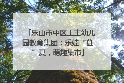 乐山市中区土主幼儿园教育集团：乐娃“葚”夏，萌趣集市