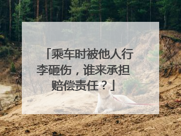 乘车时被他人行李砸伤，谁来承担赔偿责任？