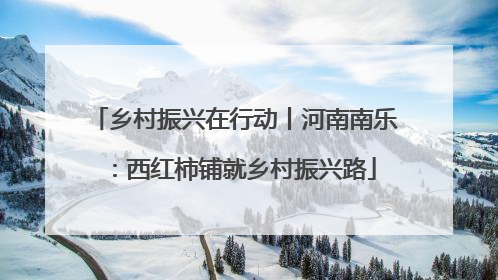 乡村振兴在行动丨河南南乐：西红柿铺就乡村振兴路