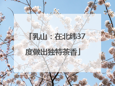 乳山：在北纬37度做出独特茶香