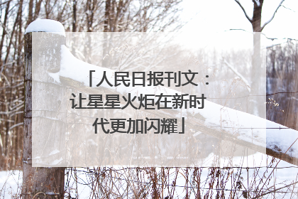 人民日报刊文：让星星火炬在新时代更加闪耀
