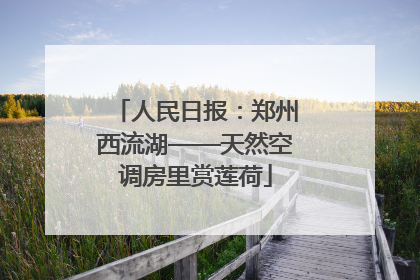 人民日报：郑州西流湖——天然空调房里赏莲荷