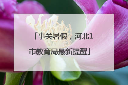 事关暑假，河北1市教育局最新提醒