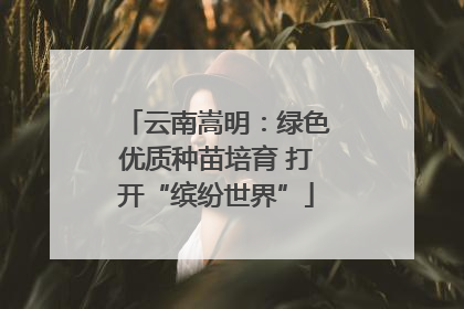 云南嵩明：绿色优质种苗培育 打开“缤纷世界”