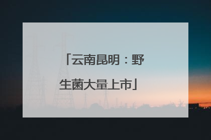 云南昆明：野生菌大量上市