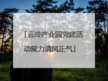 云冷产业园党建活动聚力清风正气