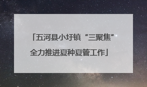 五河县小圩镇“三聚焦”全力推进夏种夏管工作