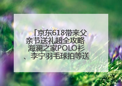 京东618带来父亲节送礼超全攻略 海澜之家POLO衫、李宁羽毛球拍等送到爸爸心坎上