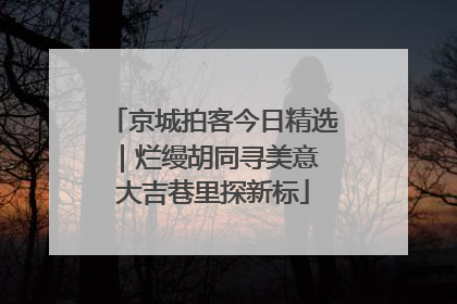 京城拍客今日精选｜烂缦胡同寻美意 大吉巷里探新标