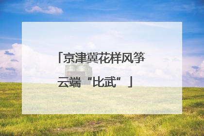 京津冀花样风筝云端“比武”