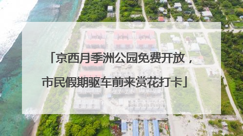 京西月季洲公园免费开放，市民假期驱车前来赏花打卡
