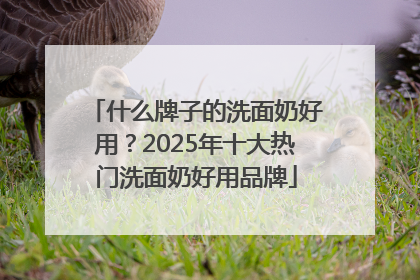 什么牌子的洗面奶好用？2025年十大热门洗面奶好用品牌