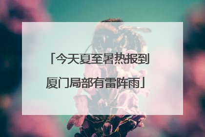 今天夏至暑热报到 厦门局部有雷阵雨