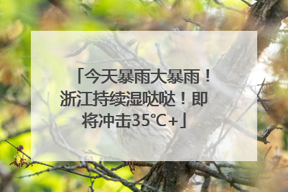今天暴雨大暴雨！浙江持续湿哒哒！即将冲击35℃+
