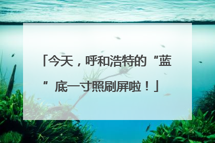 今天，呼和浩特的“蓝”底一寸照刷屏啦！
