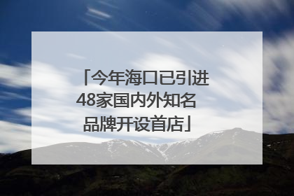 今年海口已引进48家国内外知名品牌开设首店