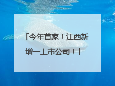 今年首家！江西新增一上市公司！