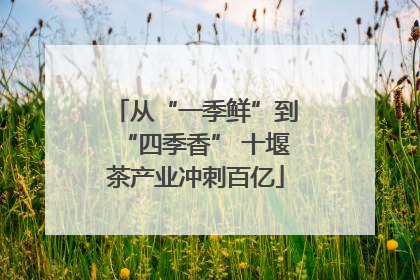 从“一季鲜”到“四季香” 十堰茶产业冲刺百亿