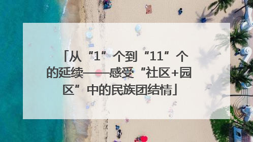 从“1”个到“11”个的延续——感受“社区+园区”中的民族团结情