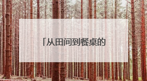 从田间到餐桌的品质坚守：白象用“一碗面”解码健康主食升级密码