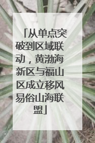 从单点突破到区域联动，黄渤海新区与福山区成立移风易俗山海联盟