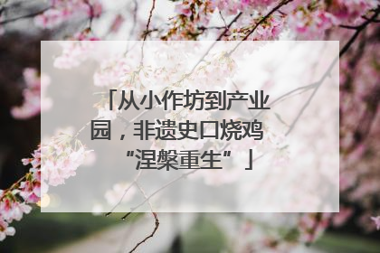 从小作坊到产业园，非遗史口烧鸡“涅槃重生”