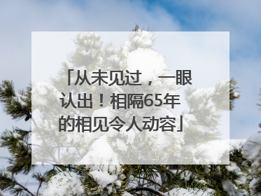 从未见过，一眼认出！相隔65年的相见令人动容