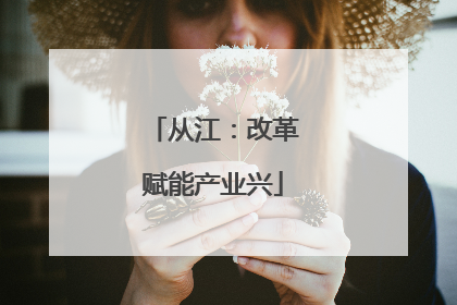 从江：改革赋能产业兴