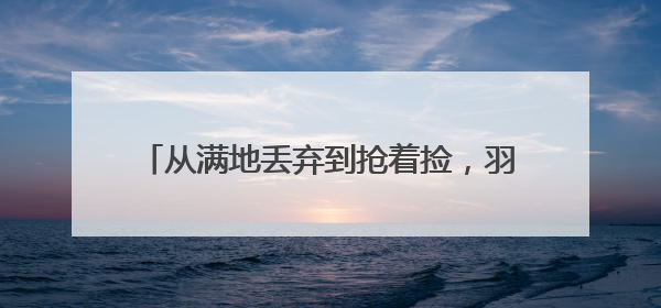 从满地丢弃到抢着捡，羽毛球涨价催热二手市场！